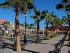 mexiko-2012-tag-08-todos-santos-0984