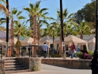 mexiko-2012-tag-08-todos-santos-0997