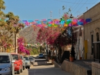 mexiko-2012-tag-08-todos-santos-1010