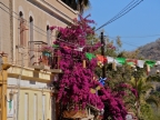 mexiko-2012-tag-08-todos-santos-1014