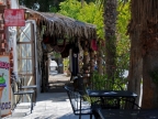mexiko-2012-tag-08-todos-santos-1028