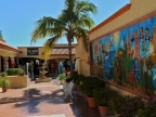 mexiko-2012-tag-08-todos-santos-1030