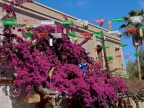 mexiko-2012-tag-08-todos-santos-1034
