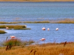 argentinien-2011-1322-lago-argentina