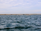 mexiko-2012-tag-08-lopez-mateos-1164