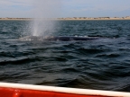 mexiko-2012-tag-08-lopez-mateos-1241