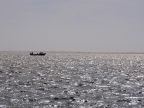 mexiko-2012-tag-08-lopez-mateos-1245