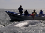 mexiko-2012-tag-08-lopez-mateos-1284