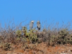 mexiko-2012-tag-15-espiritu-santo-2309