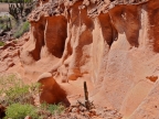 mexiko-2012-tag-15-espiritu-santo-2487