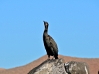 mexiko-2012-tag-15-espiritu-santo-2546