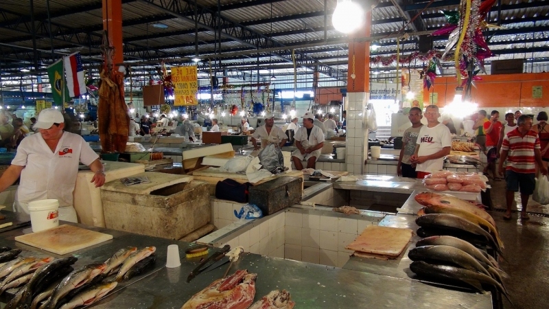 15-manaus-2783-amazonien-2013