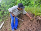 03-manu-np-0964-amazonien-2013