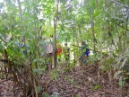 03-manu-np-0973-amazonien-2013