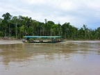 03-manu-np-0993-amazonien-2013