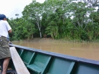 03-manu-np-1002-amazonien-2013