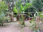 03-manu-np-1008-amazonien-2013
