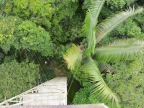 03-manu-np-1016-amazonien-2013