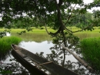 03-manu-np-1060-amazonien-2013