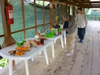 05-aras-1135-amazonien-2013
