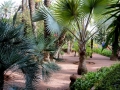 01 Marrakesch 0025