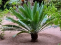 01 Marrakesch 0027
