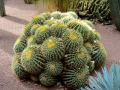 01 Marrakesch 0053
