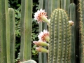 01 Marrakesch 0054