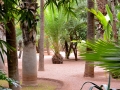 01 Marrakesch 0058