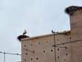 01 Marrakesch 0070