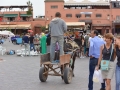 01 Marrakesch 0159