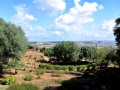 04 Rabat Chellah 0209