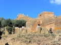 04 Rabat Chellah 0224