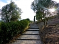 08 Volubilis - 0282