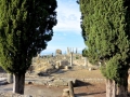 08 Volubilis - 0284