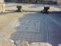08 Volubilis - 0289