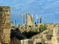 08 Volubilis - 0304