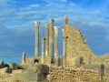 08 Volubilis - 0305