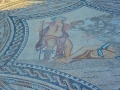 08 Volubilis - 0326