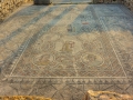 08 Volubilis - 0329