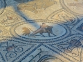 08 Volubilis - 0332