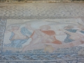 08 Volubilis - 0335