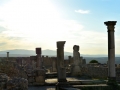 08 Volubilis - 0338