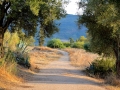 08 Volubilis - 0344