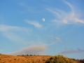 08 Volubilis - 0347