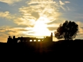 08 Volubilis - 0350