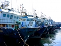 32 Agadir - 1148