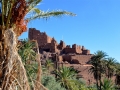 25 Kasbash Tifoultoute - 0929