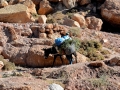 27 Ksar Ait Ben Haddou - 0946