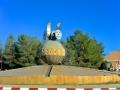 24 Quarzarate - 0894